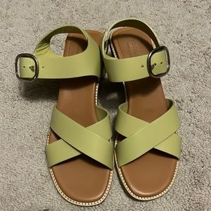 NWOT everlane italian leather buckle heels - leek